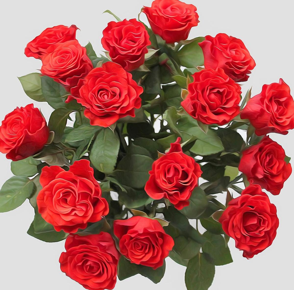RosesBouquet-Roses&Thorns-RGB